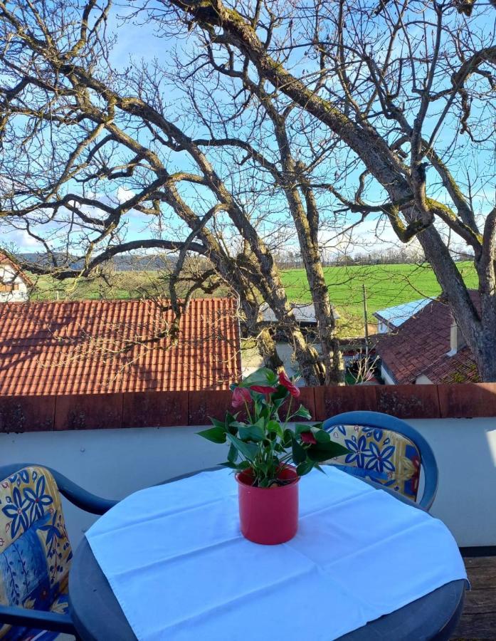 Landgasthof Zum Seehof Hotel 2*