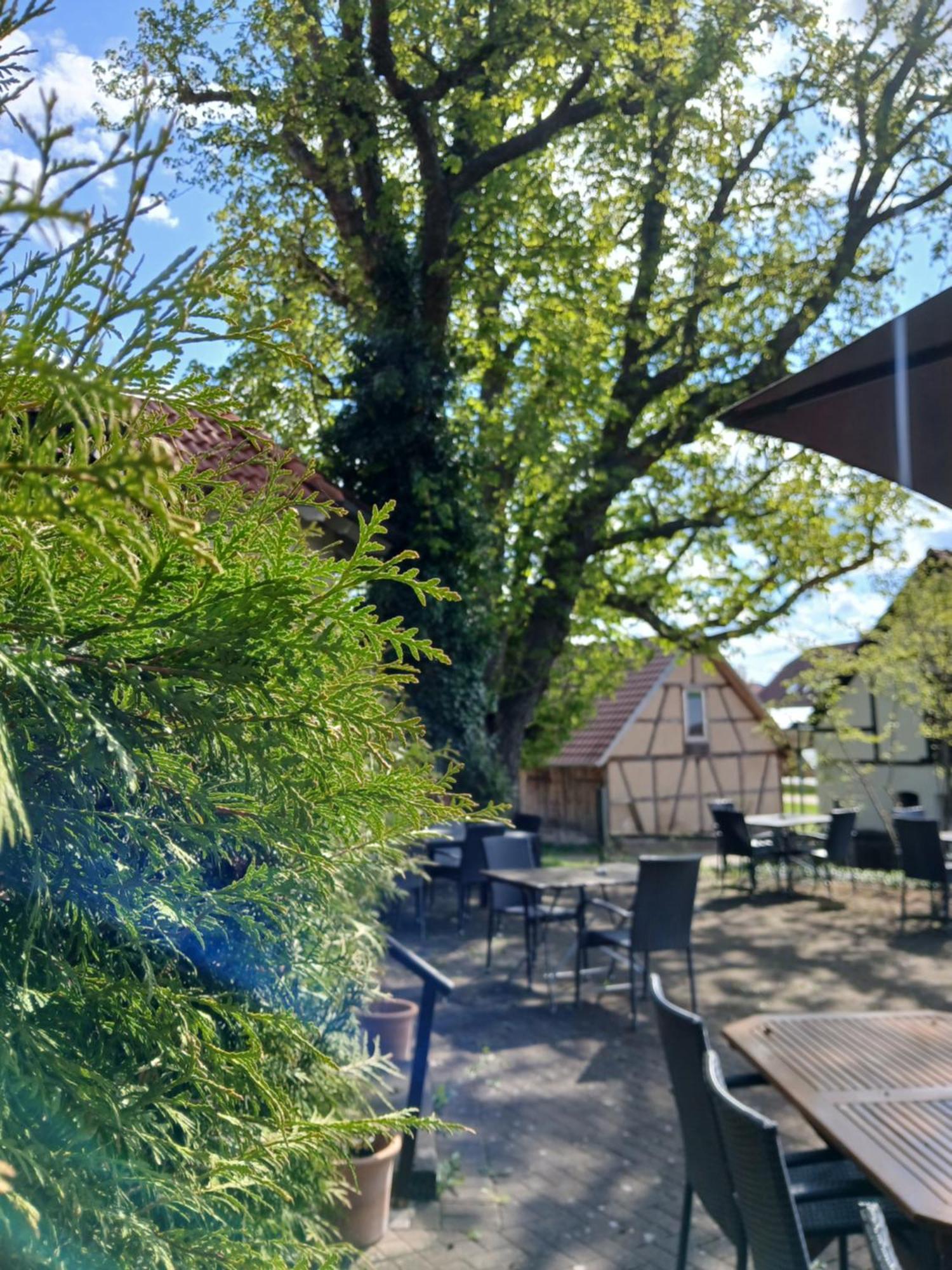 Landgasthof Zum Seehof Отель
