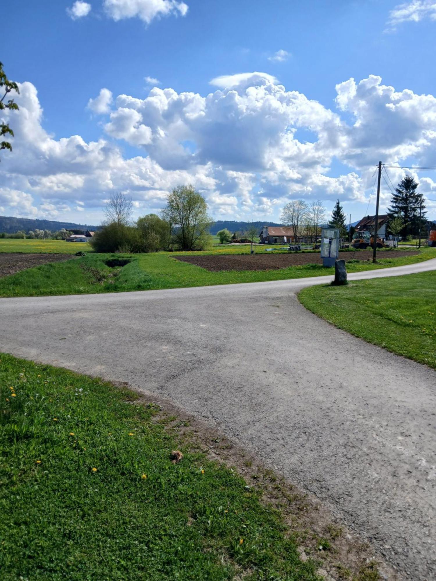 Landgasthof Zum Seehof Отель 2*