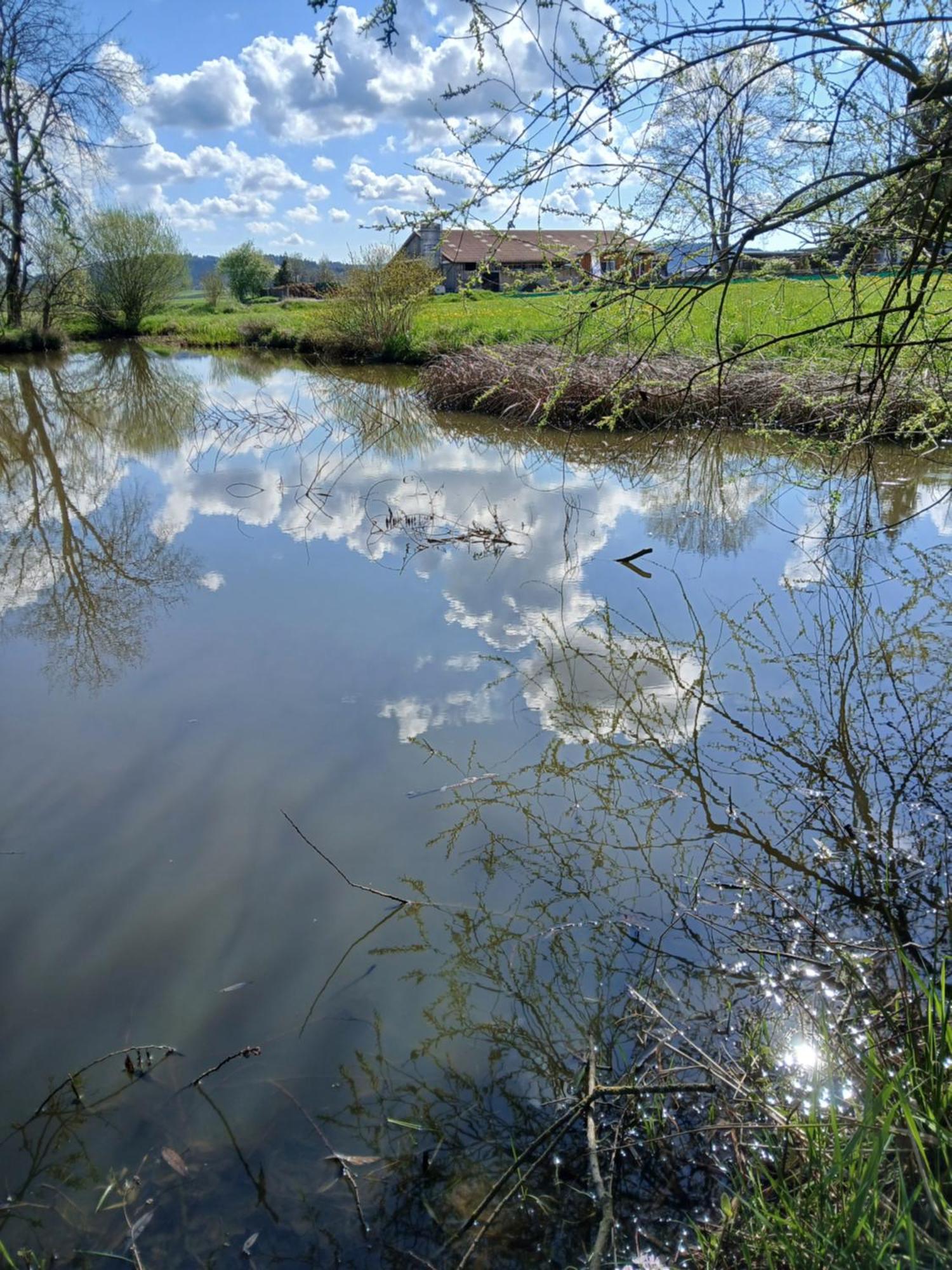 Landgasthof Zum Seehof Rottweil